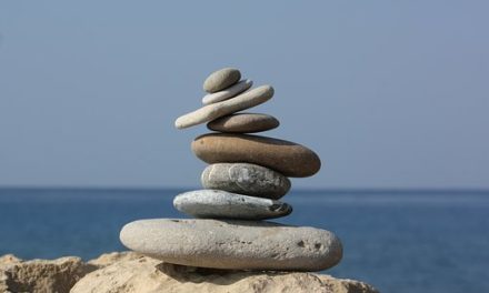 Gewaltfreie Kommunikation – das Einführungsseminar