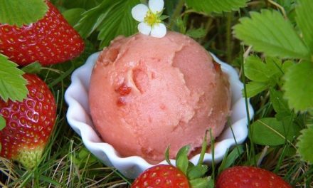 Bei diesem Wetter: Eis – aber bitte vegan!