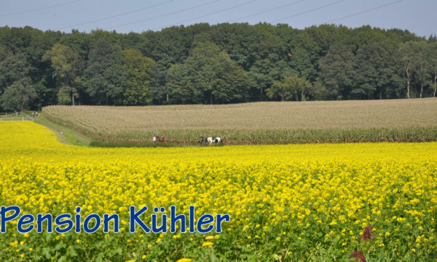 Ganzheitlich leben … in der Pension Kühler!