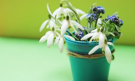 Räuchern an Imbolc – alte Traditionen werden wieder belebt