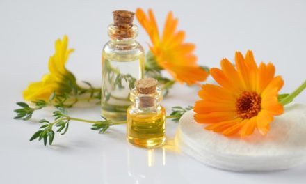 Reiki und Pflanzen – ein Weg zum grünen Daumen!