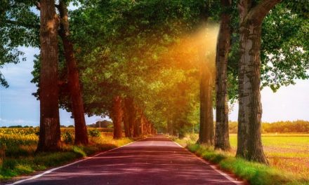 Was ist eigentlich NLP?