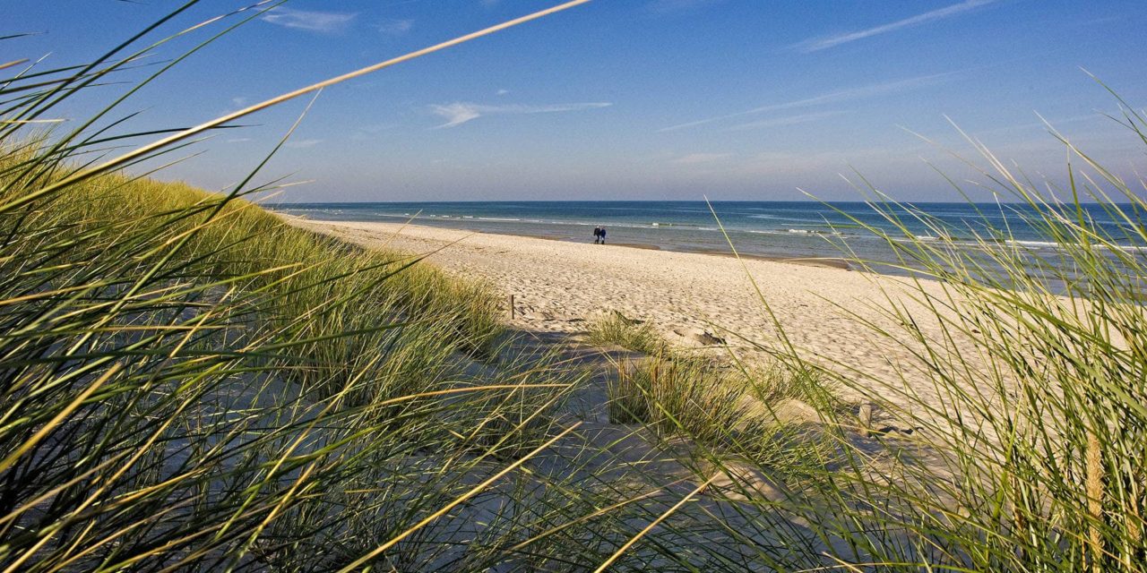 Gingko Mare – Das Bio-Hotel im Ostseebad Prerow