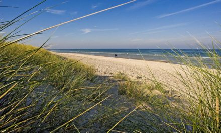 Gingko Mare – Das Bio-Hotel im Ostseebad Prerow