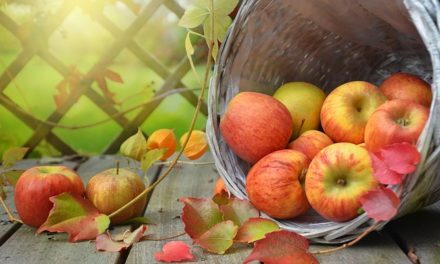 An Apple A Day Keeps The Doctor Away