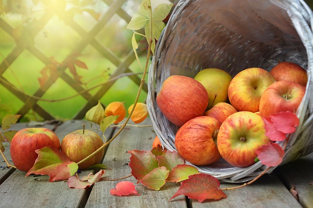An Apple A Day Keeps The Doctor Away