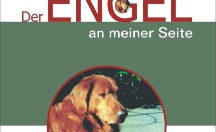 Der Engel an meiner Seite