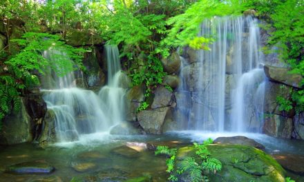 Auf der Reise zur eigenen Quelle – Teil 1