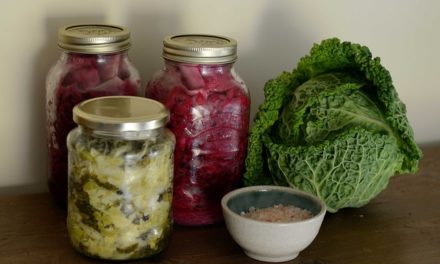 Fermentier‘ doch mal wieder!