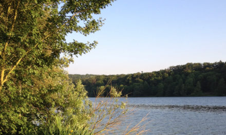 Wünschen und bekommen – Eine Wohnung am See!