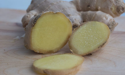 Der Ingwer (Zingiber officinale)