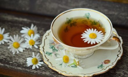 Aktion „Bleib gesund!“