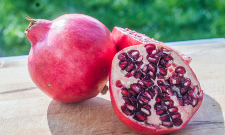 Der Granatapfel (Punika granatum) – Frucht der Göttin