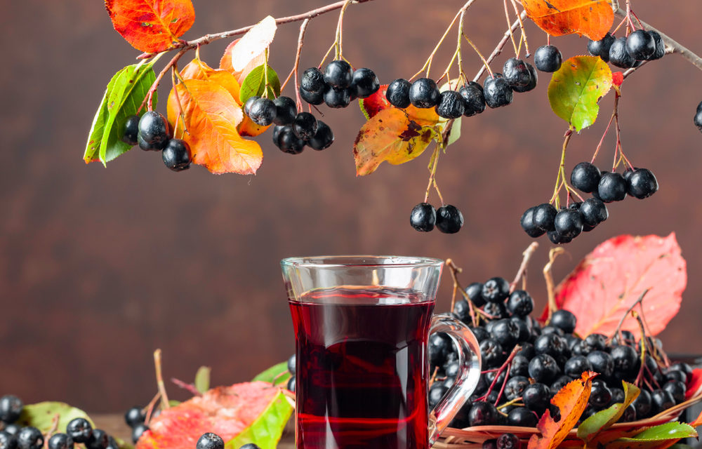 Superfruit Aronia Beere (Aronia melanocarpa)