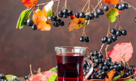 Superfruit Aronia Beere (Aronia melanocarpa)