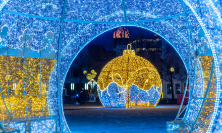 Städtereise Magdeburg – Kultur und Musik im Advent!