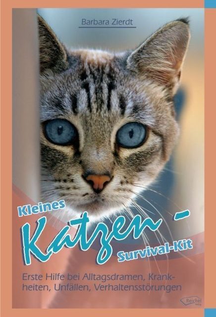 Kleines Katzen Survival Kit