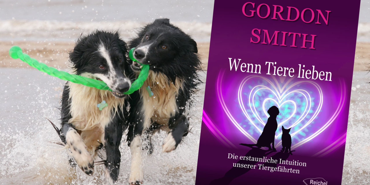 Wenn Tiere lieben von Gordon Smith