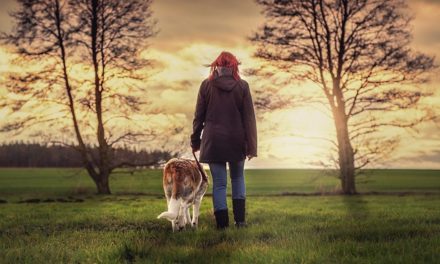 Hund & Mensch – Gemeinsam stark durch bewegende Zeiten