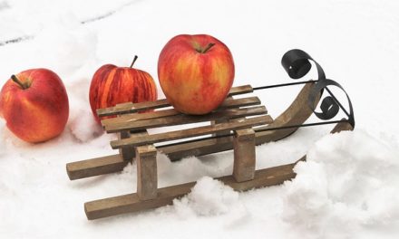 Vorbeugen ist besser als Heilen!