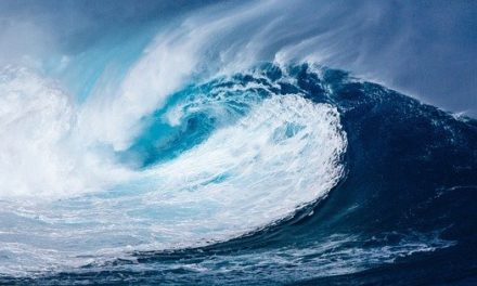 Wasser als Lebensmittel