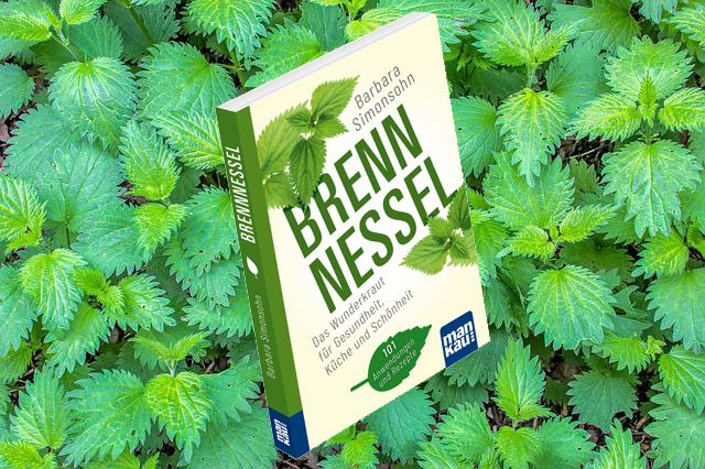 Brennnessel – das Wunderkraut für Gesundheit, Küche und Schönheit
