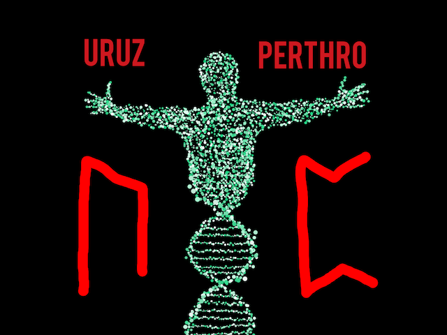 Die Runen Uruz und Perthro: Über unsere Gesundheit und das Virus