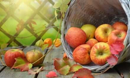 Herbsttagundnachtgleiche – Mabon