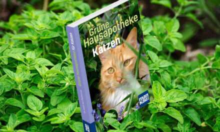 Grüne Hausapotheke für Katzen.