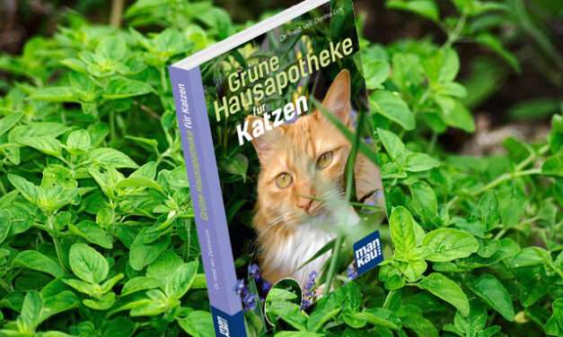 Grüne Hausapotheke für Katzen.