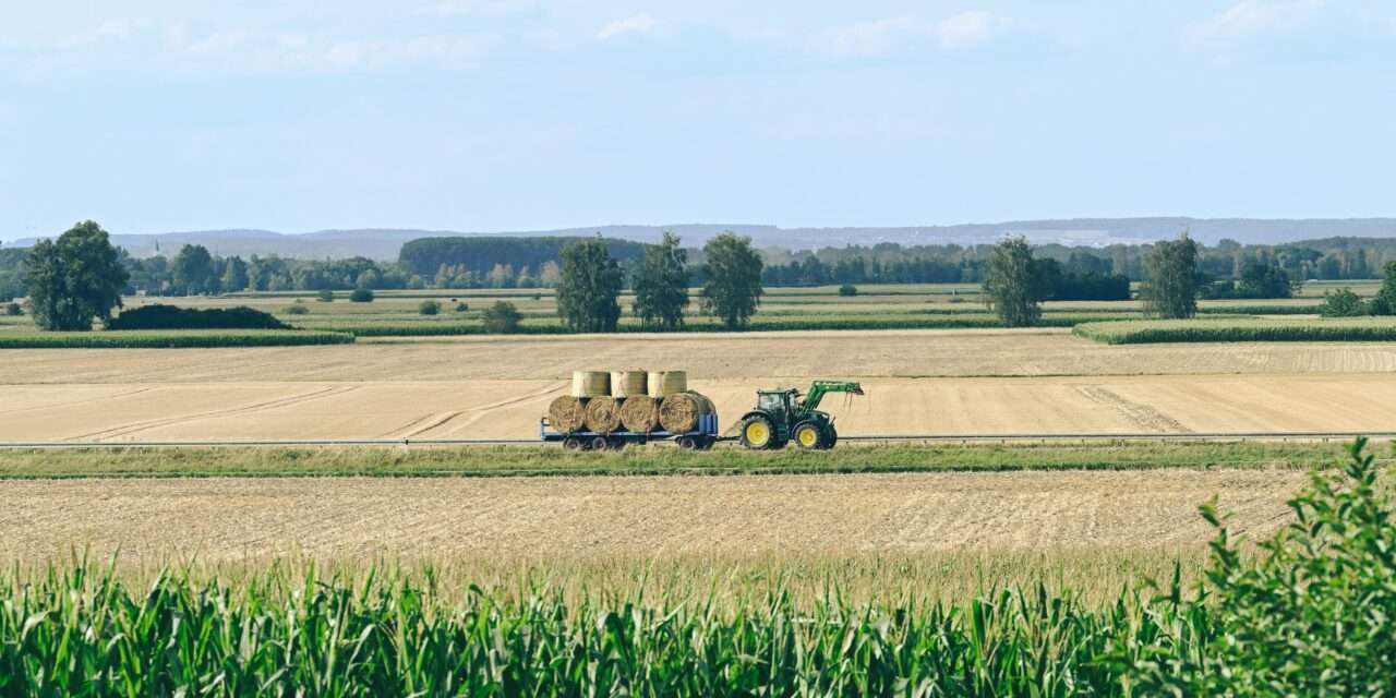 Himmlische Konstellationen im August