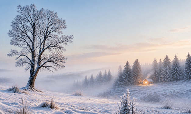 Yin-Zeit – Warum wir im Winter langsamer werden dürfen